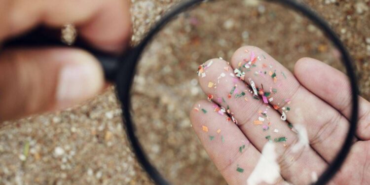 Microplastiche e salute della donna, Fondazione Sigo avvia percorso informativo