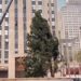 New York, torna l’albero di Natale al Rockefeller Center