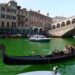 Blitz a Venezia di Extinction Rebellion, foglio di via e Daspo per gli attivisti