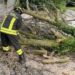 Maltempo oggi in Italia, alberi su auto in Emilia Romagna. Forti raffiche di vento in Toscana