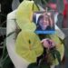 Omicidio Giulia Cecchettin, auto di Filippo Turetta oggi in Italia