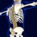Osteopatia diventa corso di laurea fra le polemiche: “E’ pseudoscienza”