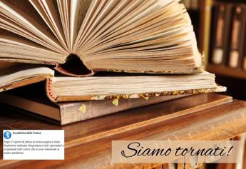 Accademia Crusca, oscurata pagina Fb. Meta, poi, si scusa: “Un errore”