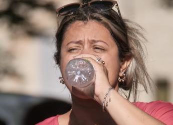 In acqua in bottiglia centinaia di migliaia di nanoplastiche: lo studio