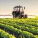 Agricoltura: Ismea, ripartono gli incentivi per l’imprenditoria giovanile e femminile