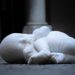 Arte, ‘Lock Down’ di Jago al Palazzo Reale di Palermo