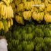 Russia, tensione con Ecuador: stop di Mosca a import banane, ecco perché