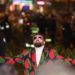 Sanremo 2024, Dargen D’Amico e l’appello: “Cessate il fuoco”