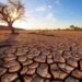 Temperature oltre la media, siccità ed eventi estremi: allarme clima in Europa
