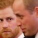 Harry e William all’evento per Lady D, ma i fratelli saranno distanti