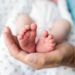 Natalità, Trojano (Sigo): “Chiedere a esperti per dubbi e limiti fertilità e Pma”