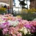 Floracult, torna a Roma la mostra mercato al parco di Veio dal 25 al 28 aprile