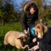 L’Irlanda cerca amici della natura, vitto e alloggio in cambio di aiuto