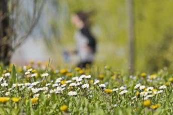 Allergie, dai vestiti colorati ai solari anche la pelle soffre la bella stagione