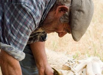 Consumi e abitudini, come è cambiato lo stile di vita in Sardegna