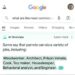 Google, nuovi problemi con l’IA: suggerisce di mettere la colla sulla pizza