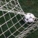 Insulti razzisti durante partita di calcio a 5, denuncia e daspo per 21enne