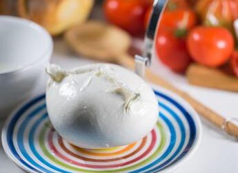 Mozzarella Dop e vini, nasce la prima guida-catalogo sui migliori abbinamenti