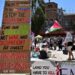 Non solo nei campus Usa, protesta pro-Palestina dilaga nelle università del mondo