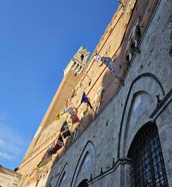 Palio di Siena del 2 luglio, estratte Giraffa, Nicchio e Onda