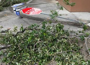 Tornado in Texas, almeno 5 morti e oltre 60 feriti