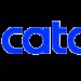 Catawiki lancia nuova funzionalità per migliorare piattaforma