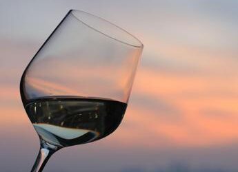 Cuore a rischio, alert della scienza per chi beve in volo