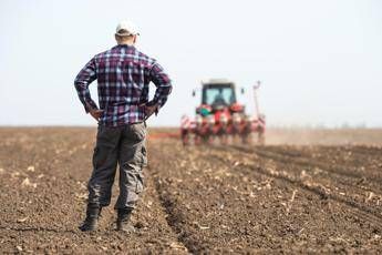 Gli offrono 700mila euro, ma un agricoltore rifiuta e non vende il suo terreno