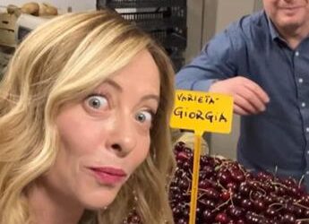 Meloni e le ciliegie, Renzi e la figlia: leader a valanga sui social per le Europee – Video