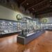 Nuove sale al Museo Nazionale del Bargello a Firenze