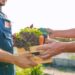 Agricoltura, Gruppo Davines proroga candidature ‘The Good Farmer Award 2024’