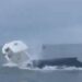 Balena attacca barca di pescatori, due volano in mare – Video