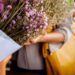 Interflora, Antitrust sospetta pratiche commerciali scorrette