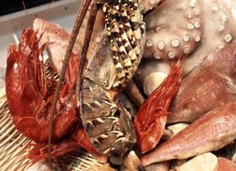 Morta dopo una cena a base di pesce, domani l’autopsia sulla 40enne