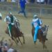 Onda vince Palio di Siena, trionfo a sorpresa