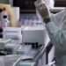 Ricerca: scoperto microrganismo intestinale chiave nel rapporto fra dieta e salute