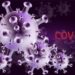Covid, in Italia primo caso di variante Nimbus
