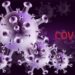 Covid, nuova variante Xec: è anche in Italia, cosa sappiamo