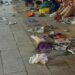 Mostra Venezia, cosa resta del red carpet: bottigliette e rifiuti abbandonati