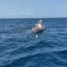 Naufragio Palermo, Cnr: ”Mediterraneo hotspot climatico, in aumento trombe d’aria”