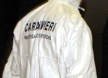 Neonato trovato morto in giardino, Ris al lavoro su Dna per rintracciare la madre