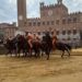 Oca vince il Palio di Siena oggi 3 luglio 2025
