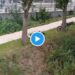 Parigi 2024, villaggio da incubo e si dorme sui prati: “Ma è Ceccon?” – Video