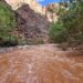 Paura al Grand Canyon per inondazioni improvvise, oltre 100 persone evacuate – Video