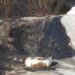 Roma, comitati: “Liquefatti teli ex discarica Monte Carnevale, respirato plastica per giorni”