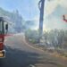 Roma, nuovo incendio a Monte Carnevale