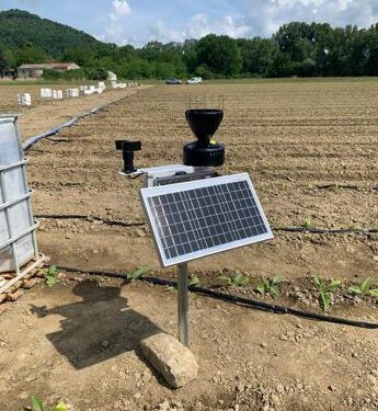 Bat Italia lancia Weplant, Ia e innovazione al servizio agricoltura sostenibile