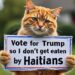 “Non fateci mangiare, votate per Trump”: è boom di meme con gatti
