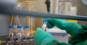 Prostata, svelata la rotta segreta delle infezioni: la scoperta rivoluzionaria