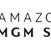 The Sims annuncia un lungometraggio in partecipazione con Amazon MGM Studios